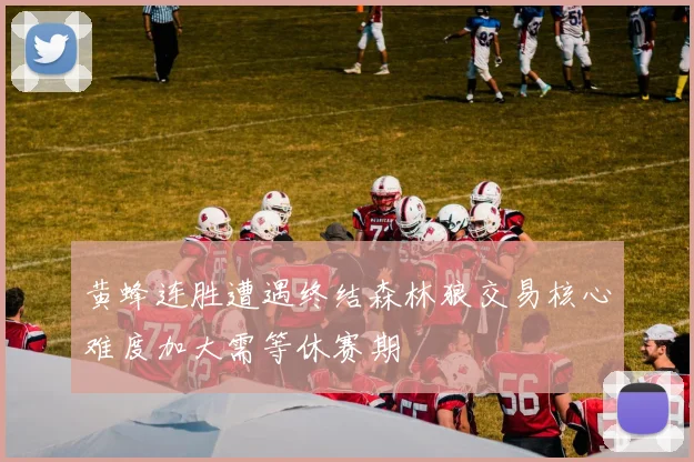 黄蜂连胜遭遇终结森林狼交易核心难度加大需等休赛期