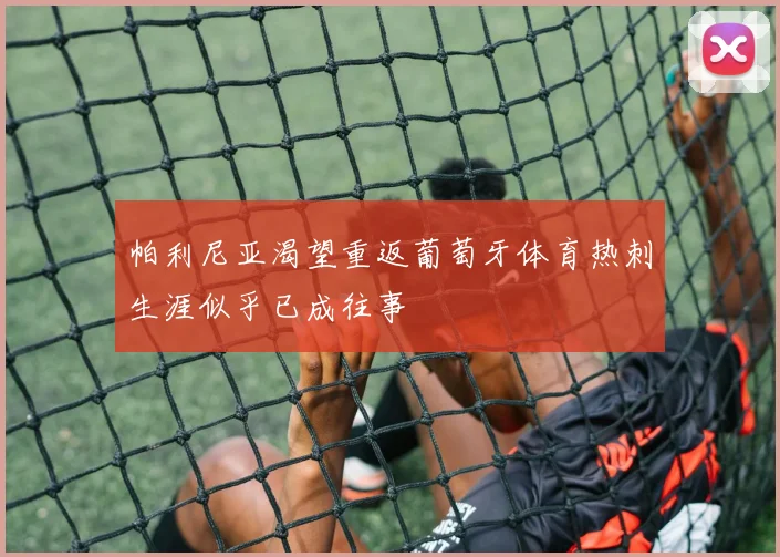 帕利尼亚渴望重返葡萄牙体育热刺生涯似乎已成往事
